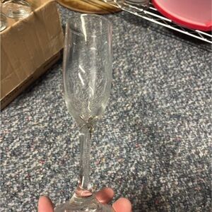 Crystal Clear Champagne Flute (20)